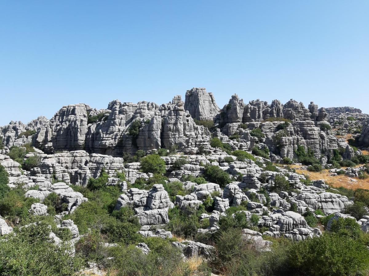 Casa Rural La Parada La Joya Eksteriør billede
