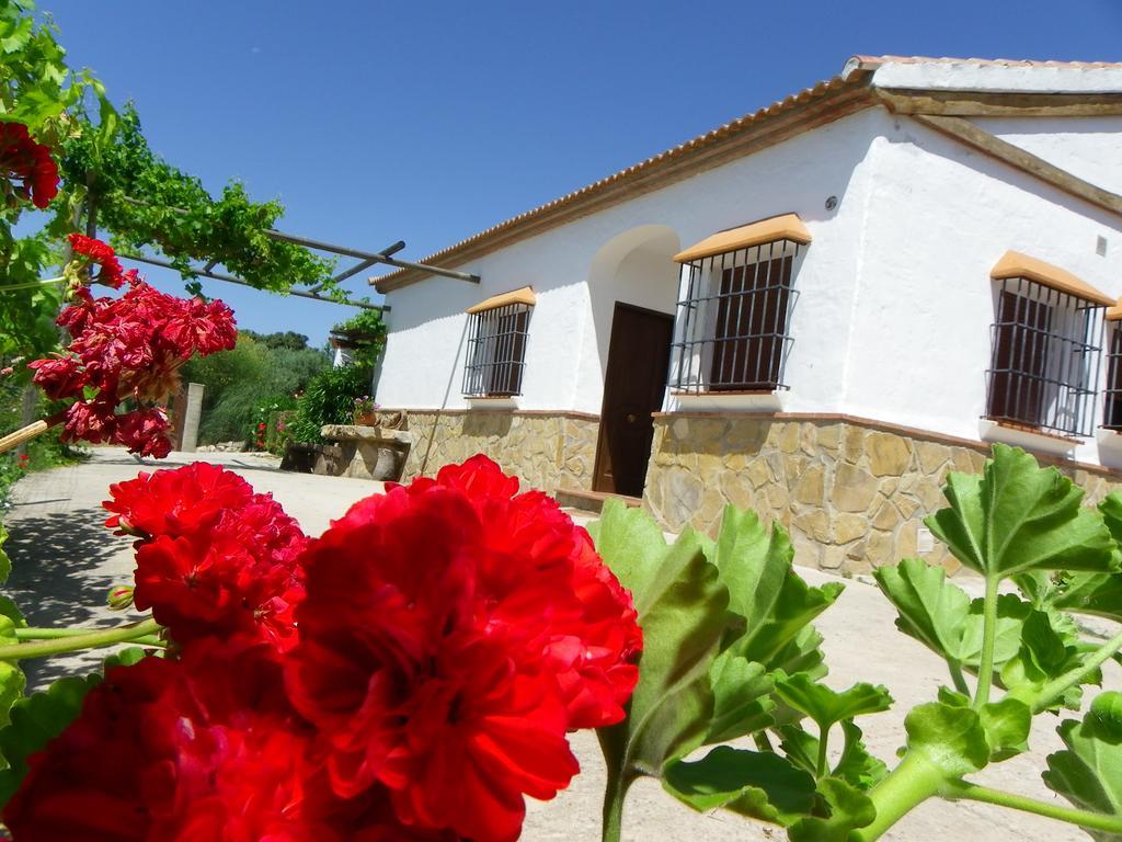 Casa Rural La Parada La Joya Eksteriør billede